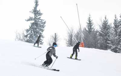 Oferty (418) - zobacz